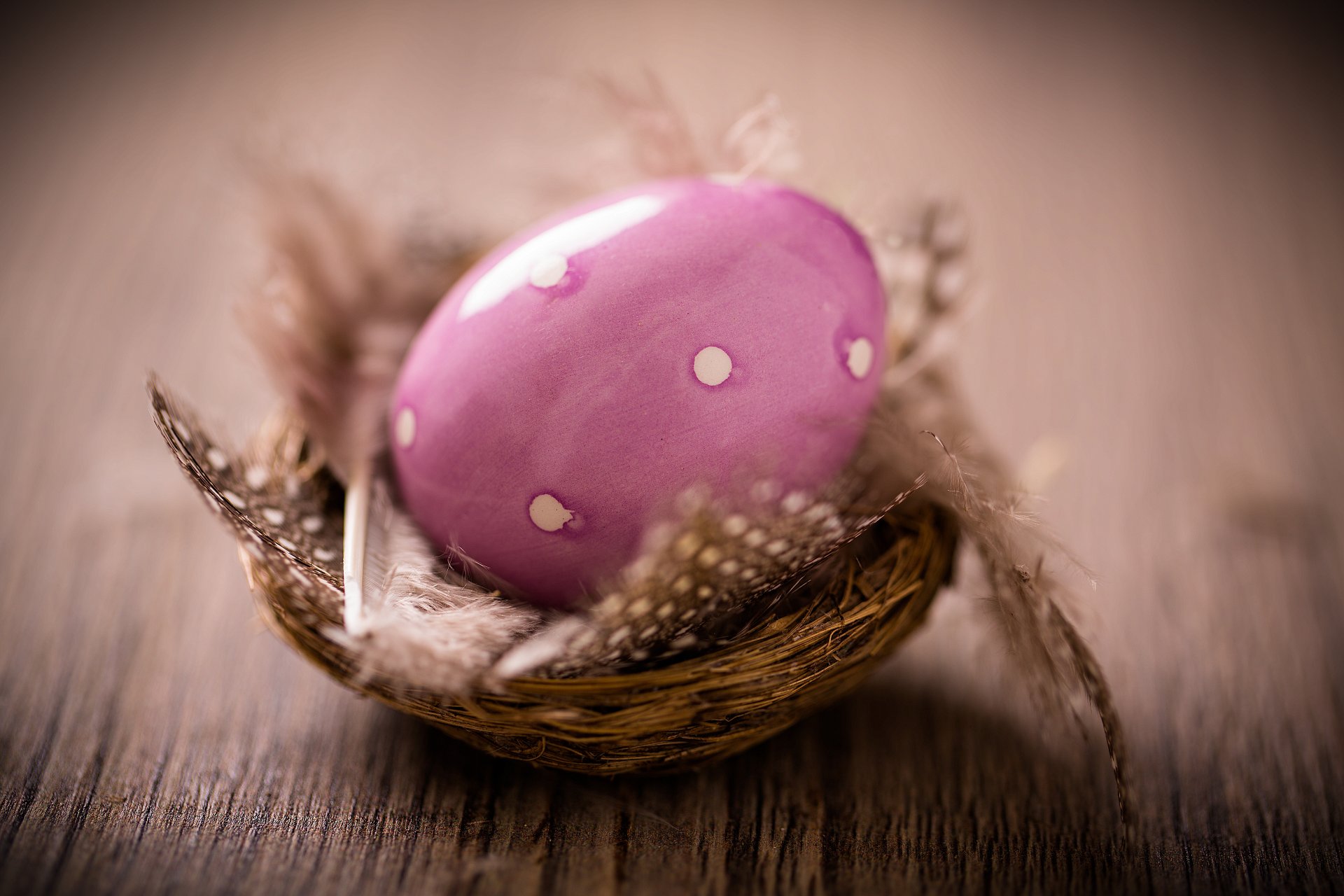 pâques oeufs oeufs de pâques pâques