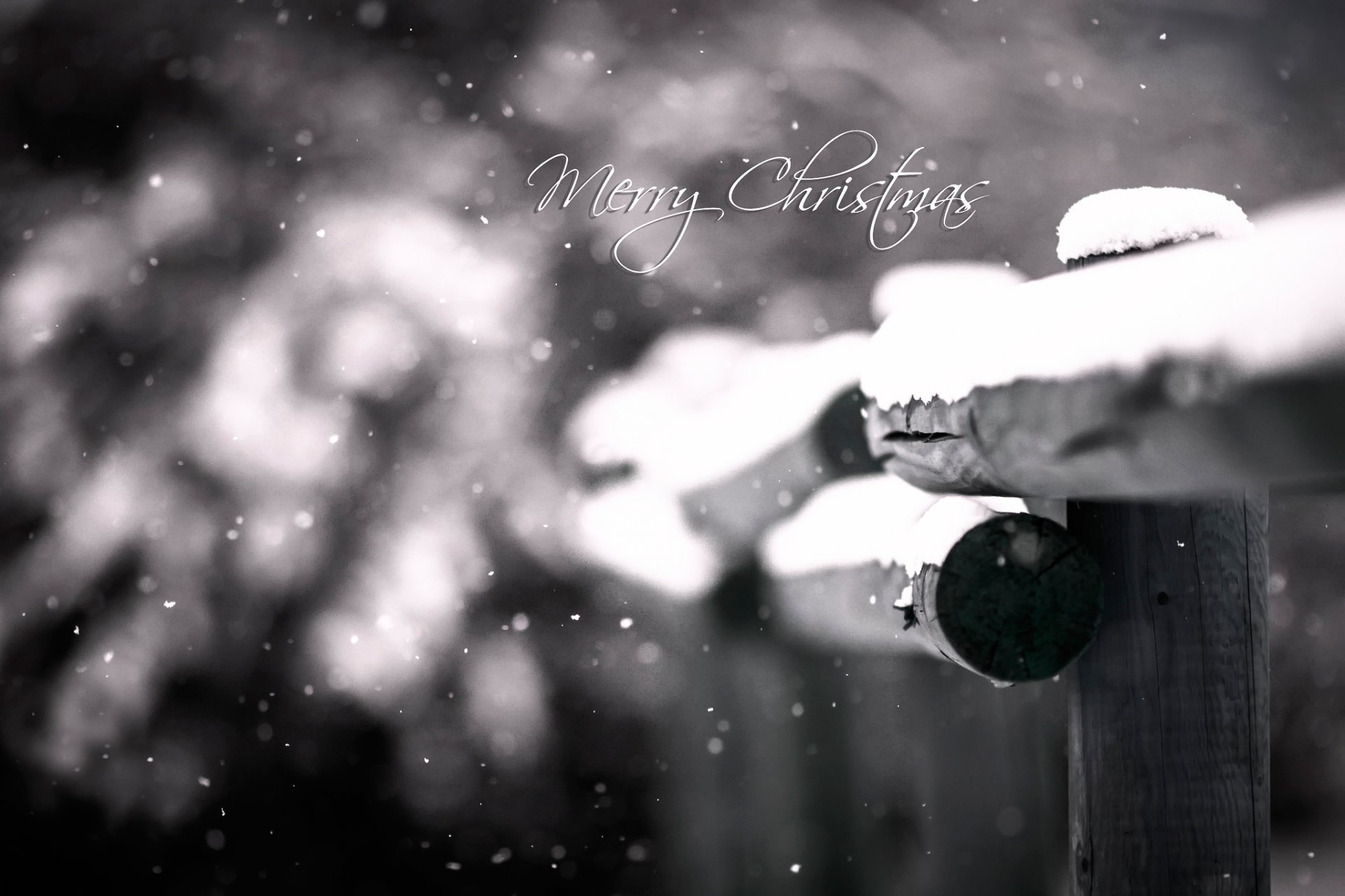 joyeux noël gros plan neige bokeh