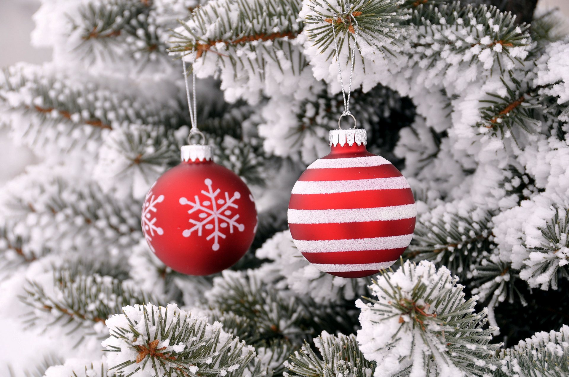 pruce snow christmas tree bulbs toys decoration new year christma