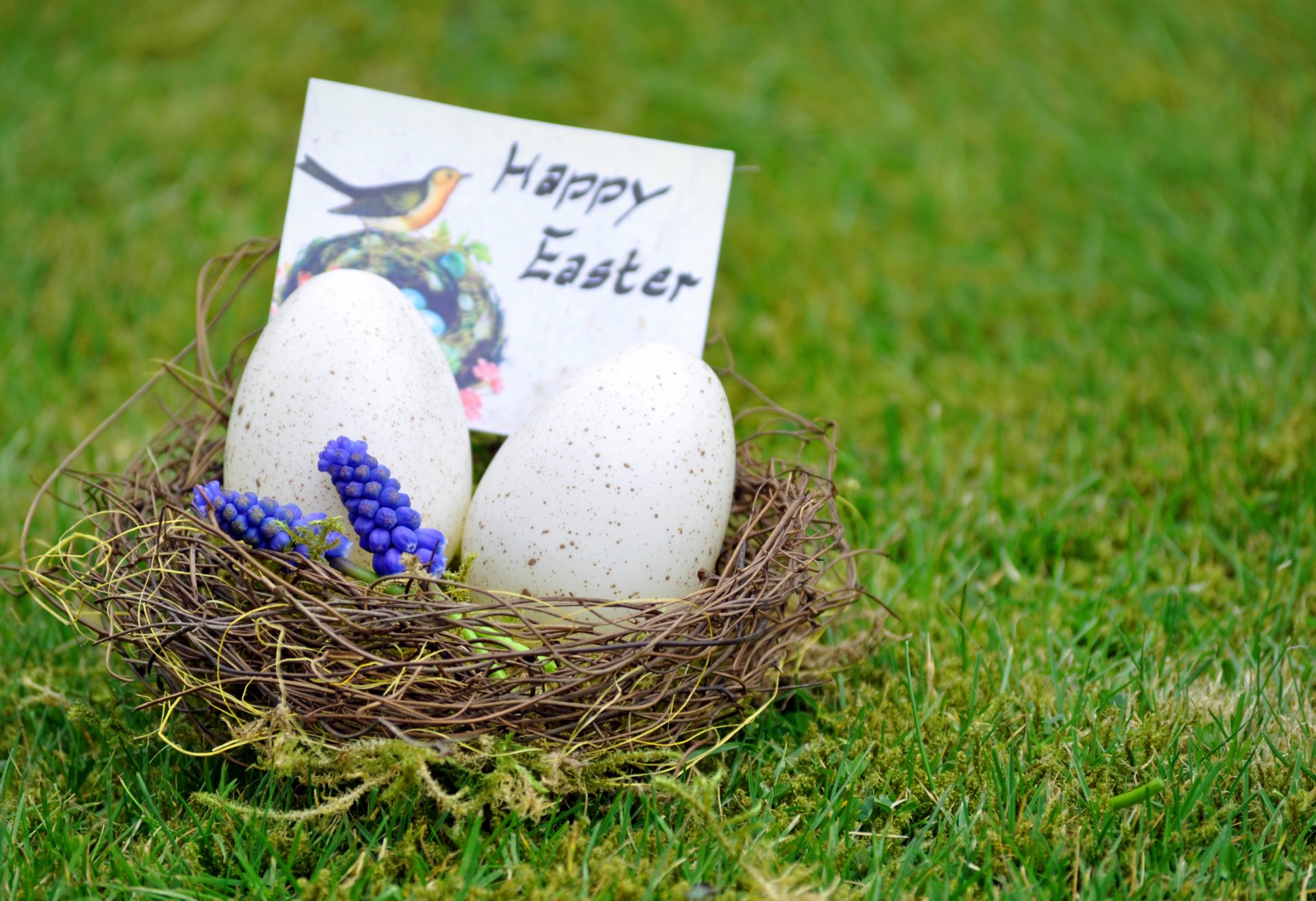 nest grass flower easter egg