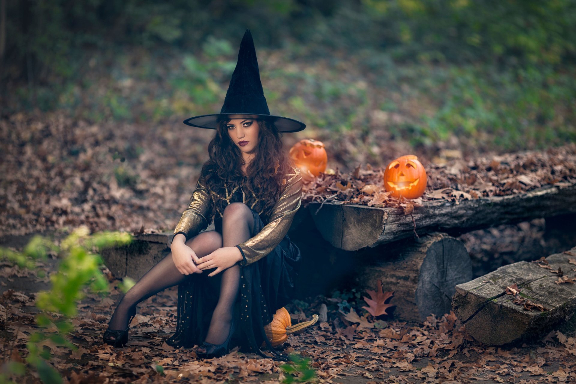 halloween czarownica czarownica dynie