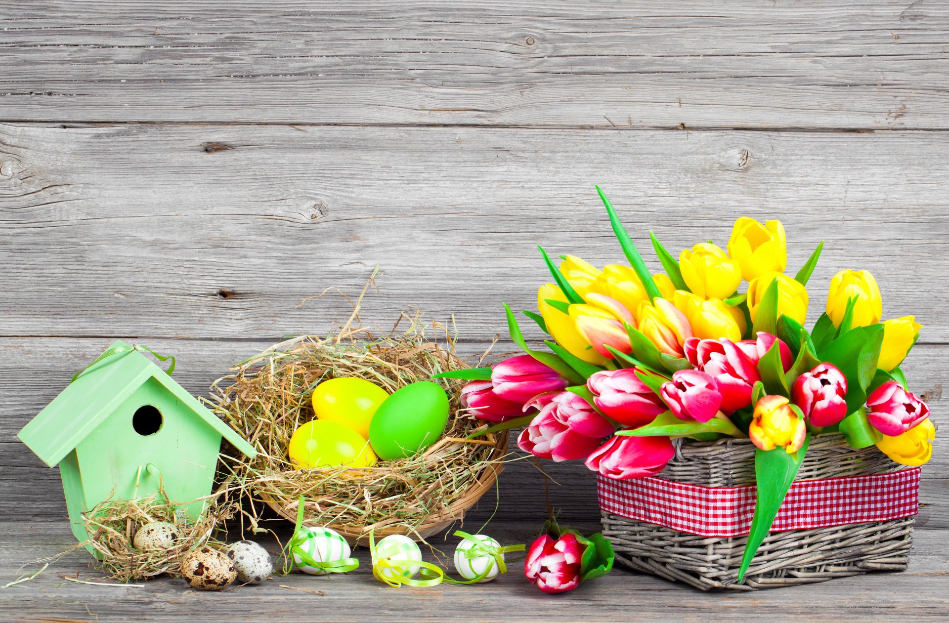 easter spring flowers eggs colorful tulips flower painted