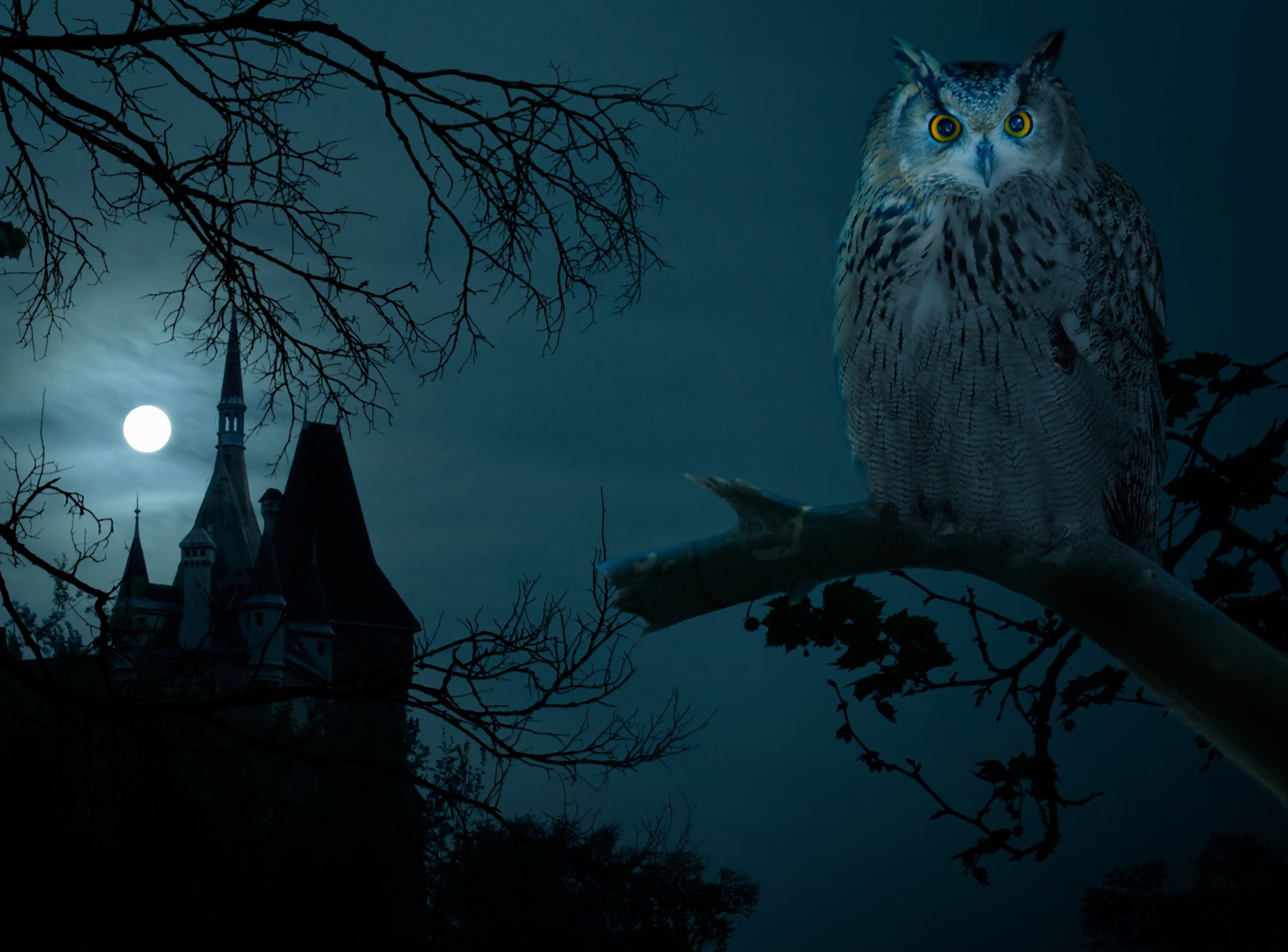 halloween nuit hibou maison hounted sombre lune château pleine lune