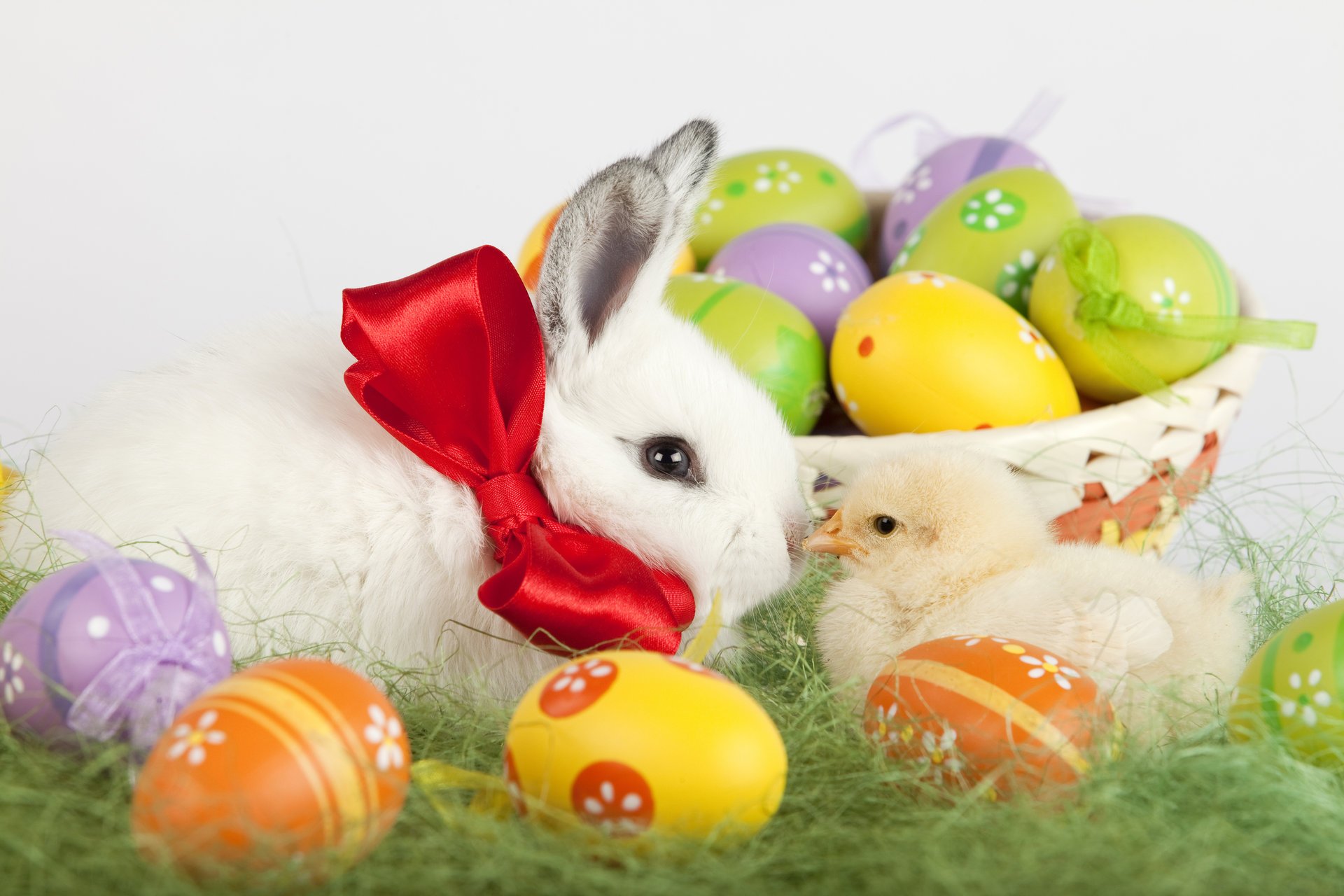 vacaciones pascua hierba conejo pollo cesta huevos teñidos