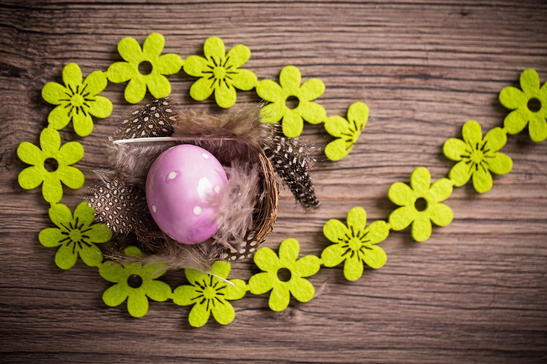 easter eggs easter eggs happy easter