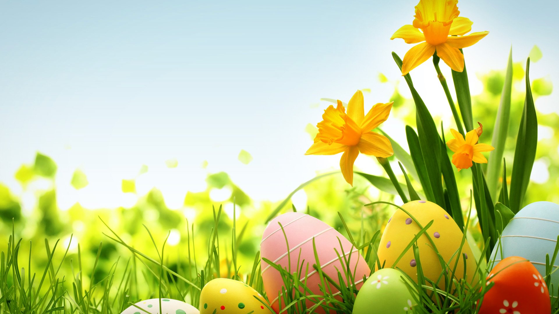 ostern eier blumen frühling