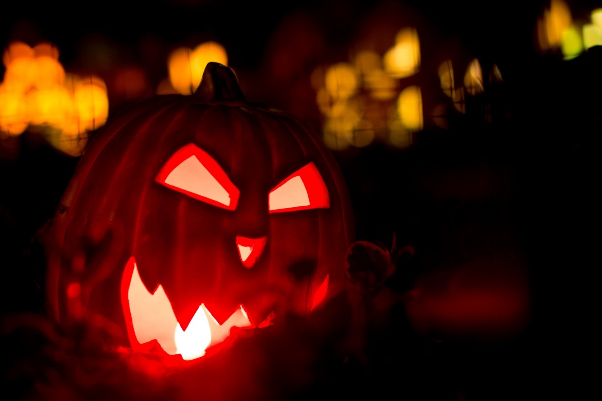 halloween citrouille vacances nuit