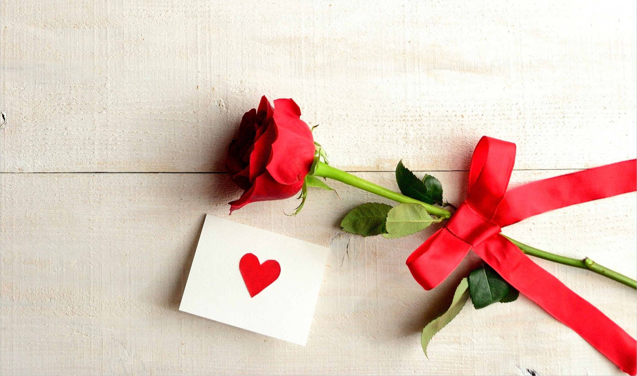 amor vacaciones te amo flor rosa corazón vacaciones rosa