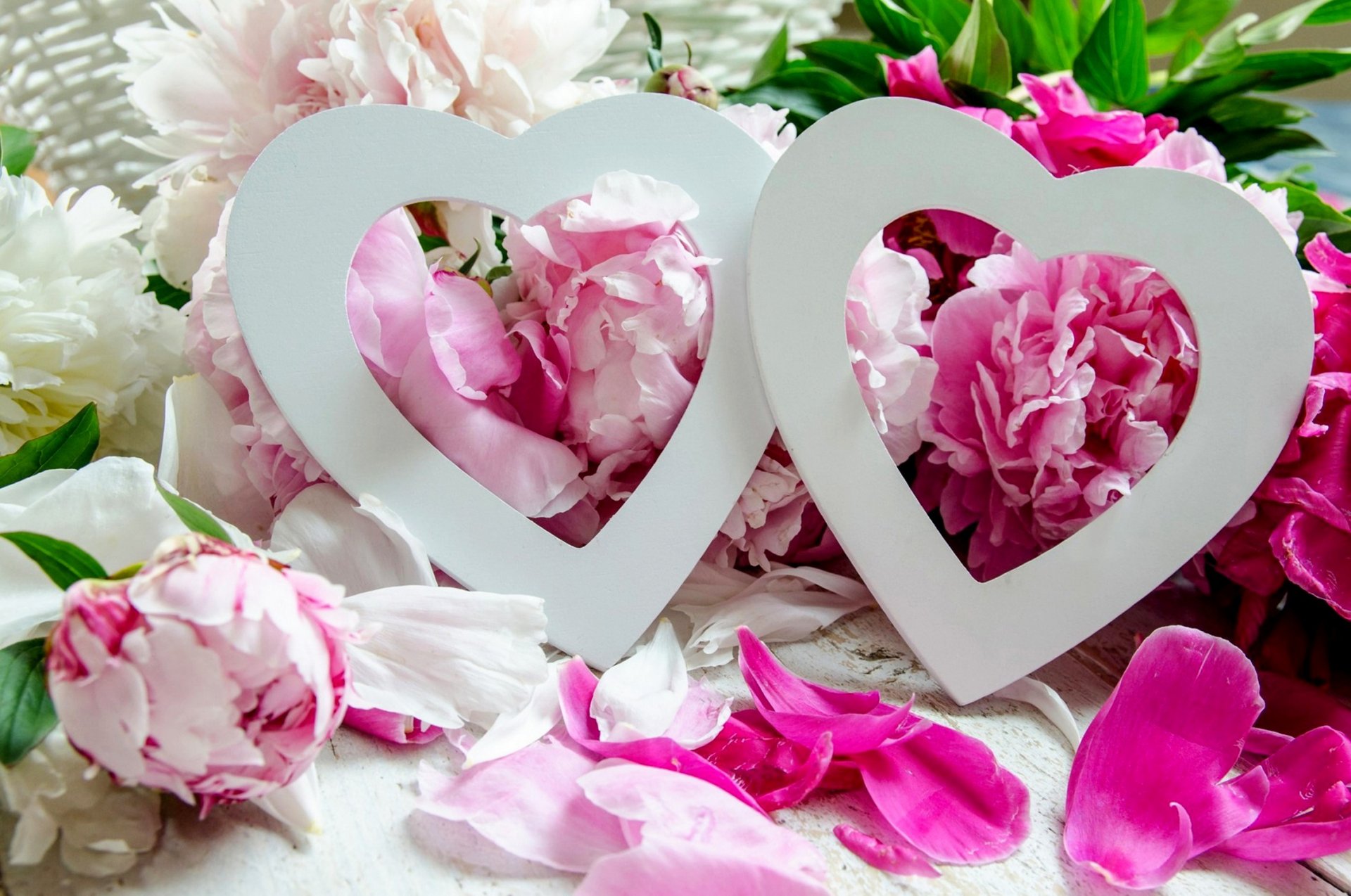 urlaub herzen blumen pfingstrosen liebe