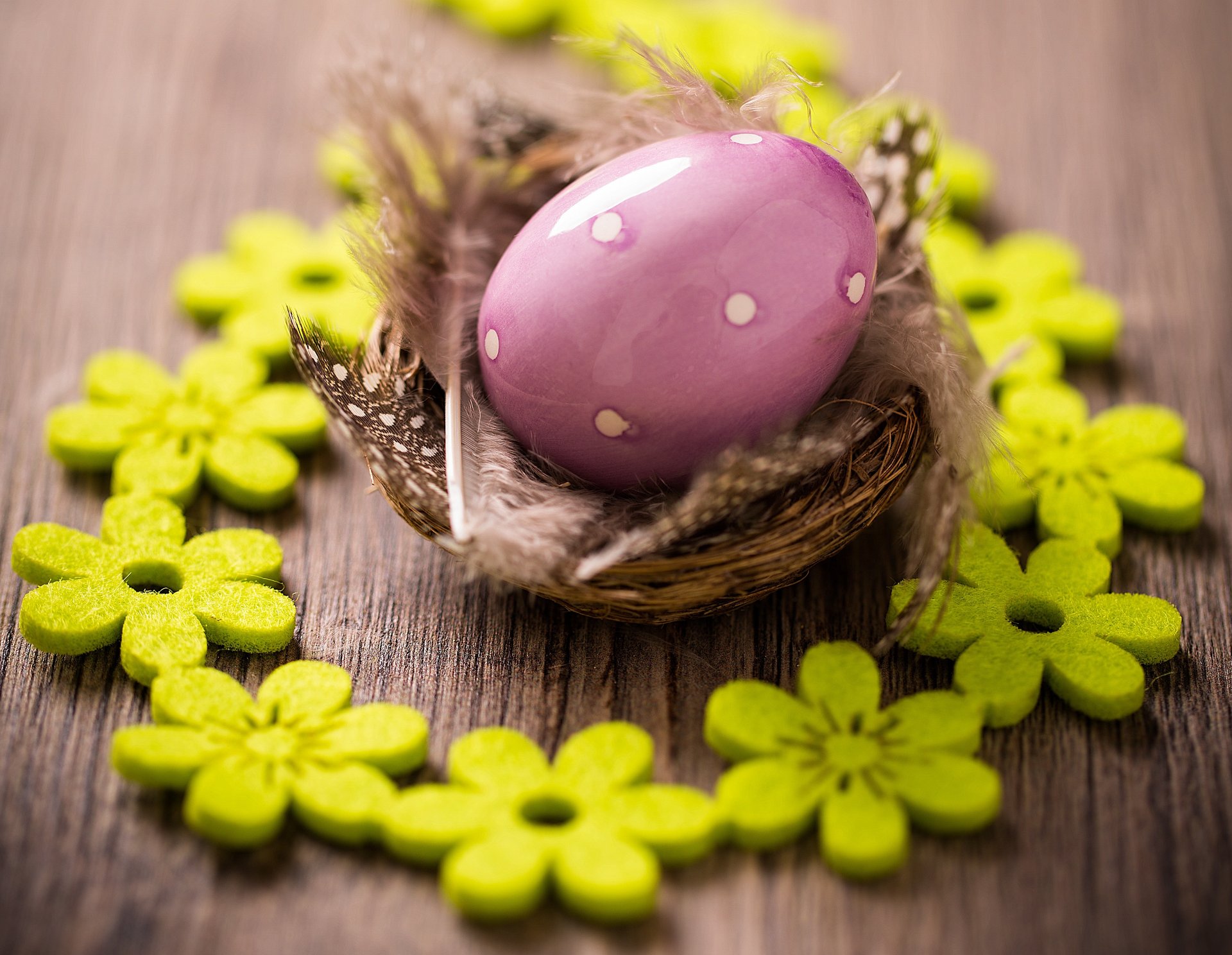 pasqua uova uova di pasqua pasqua