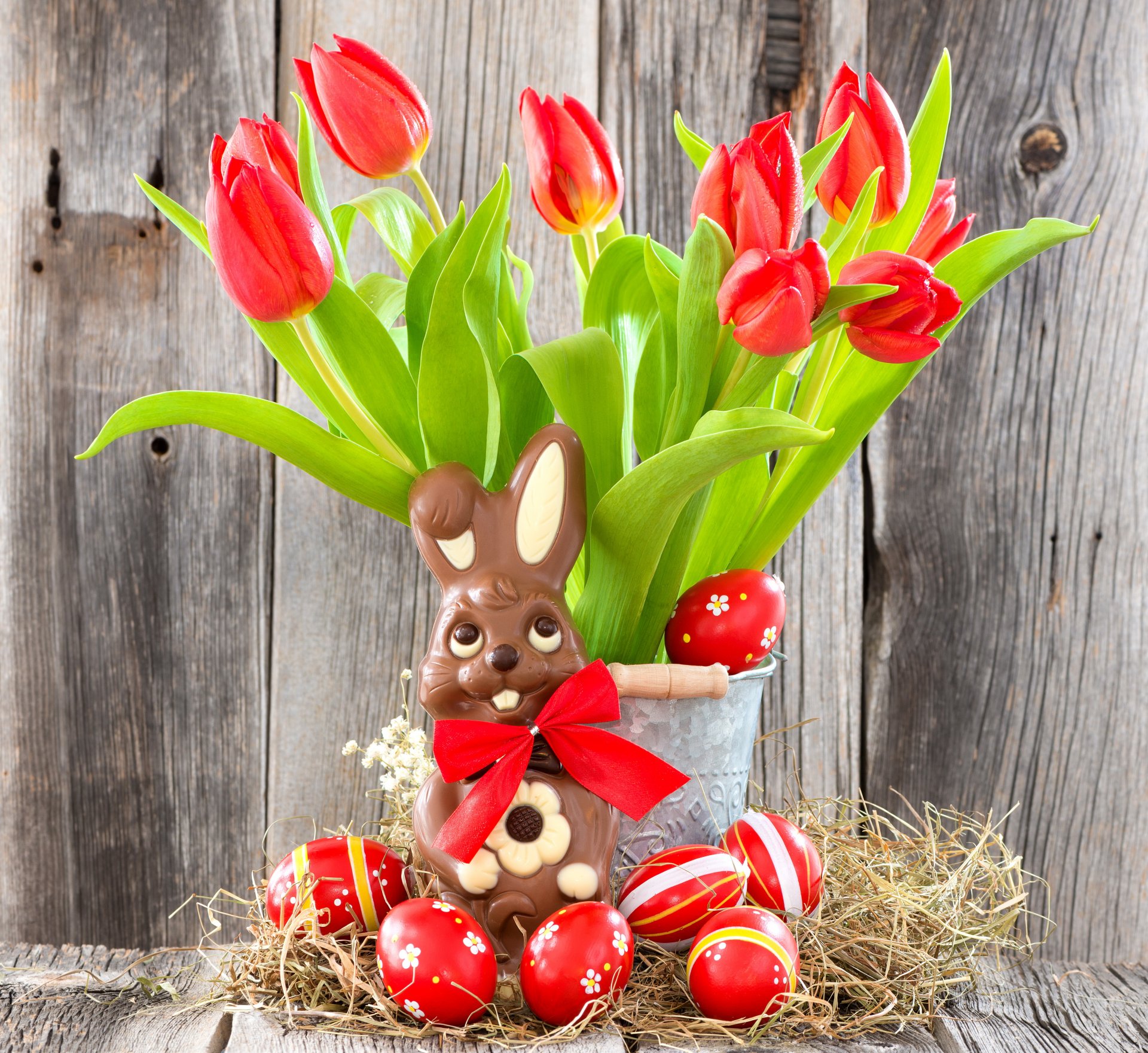 pascua huevos flores tulipanes conejo rojo