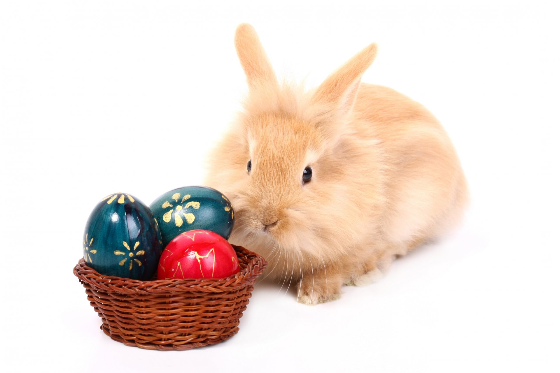 conejo pascua huevo
