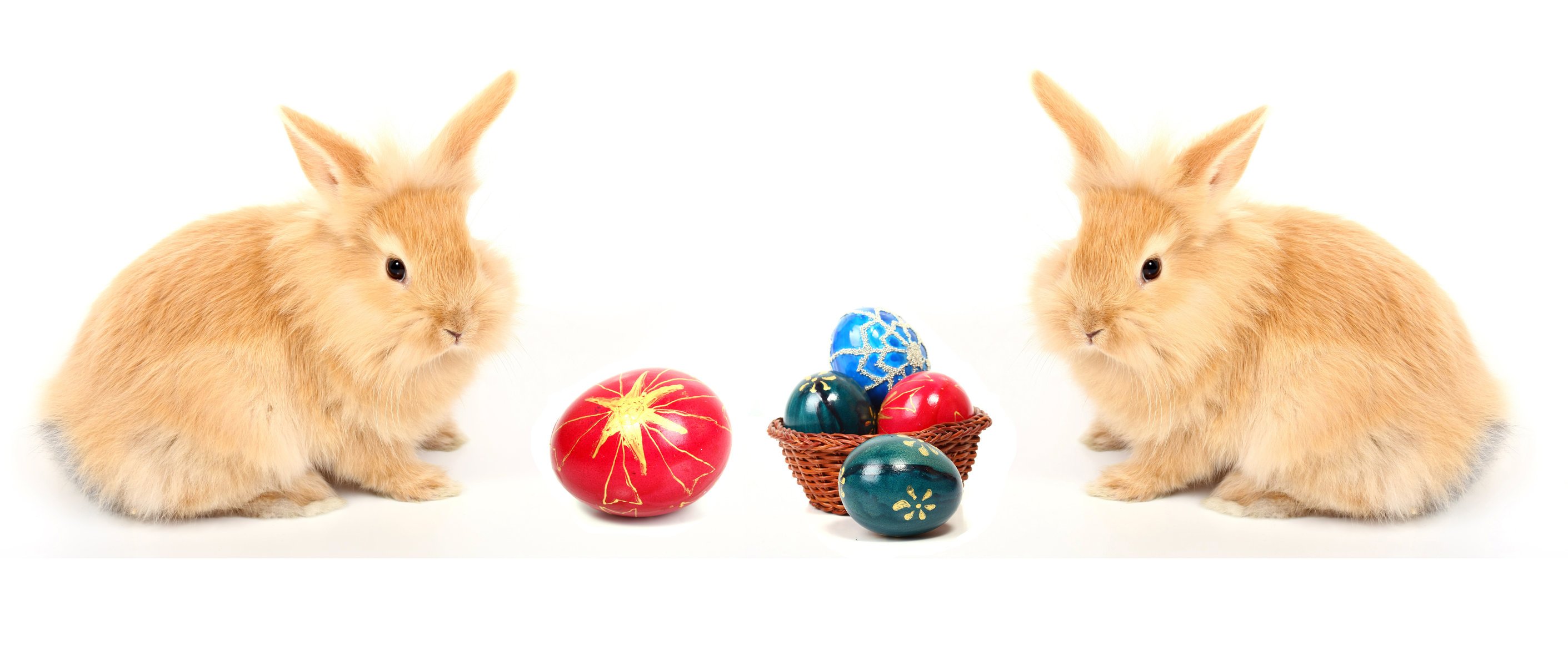 kaninchen ostern ei paar