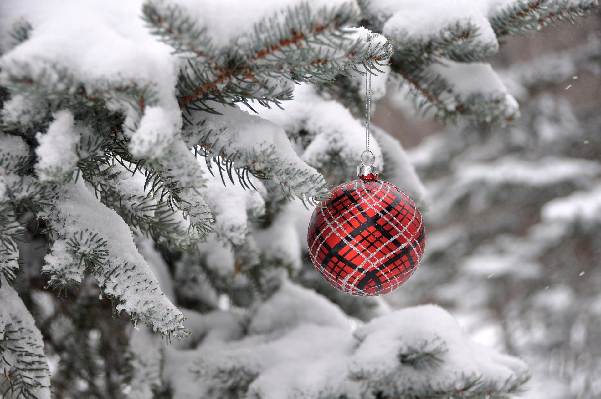 weihnachtsbaum winter ball dekoration tanne neujahr weihnachten