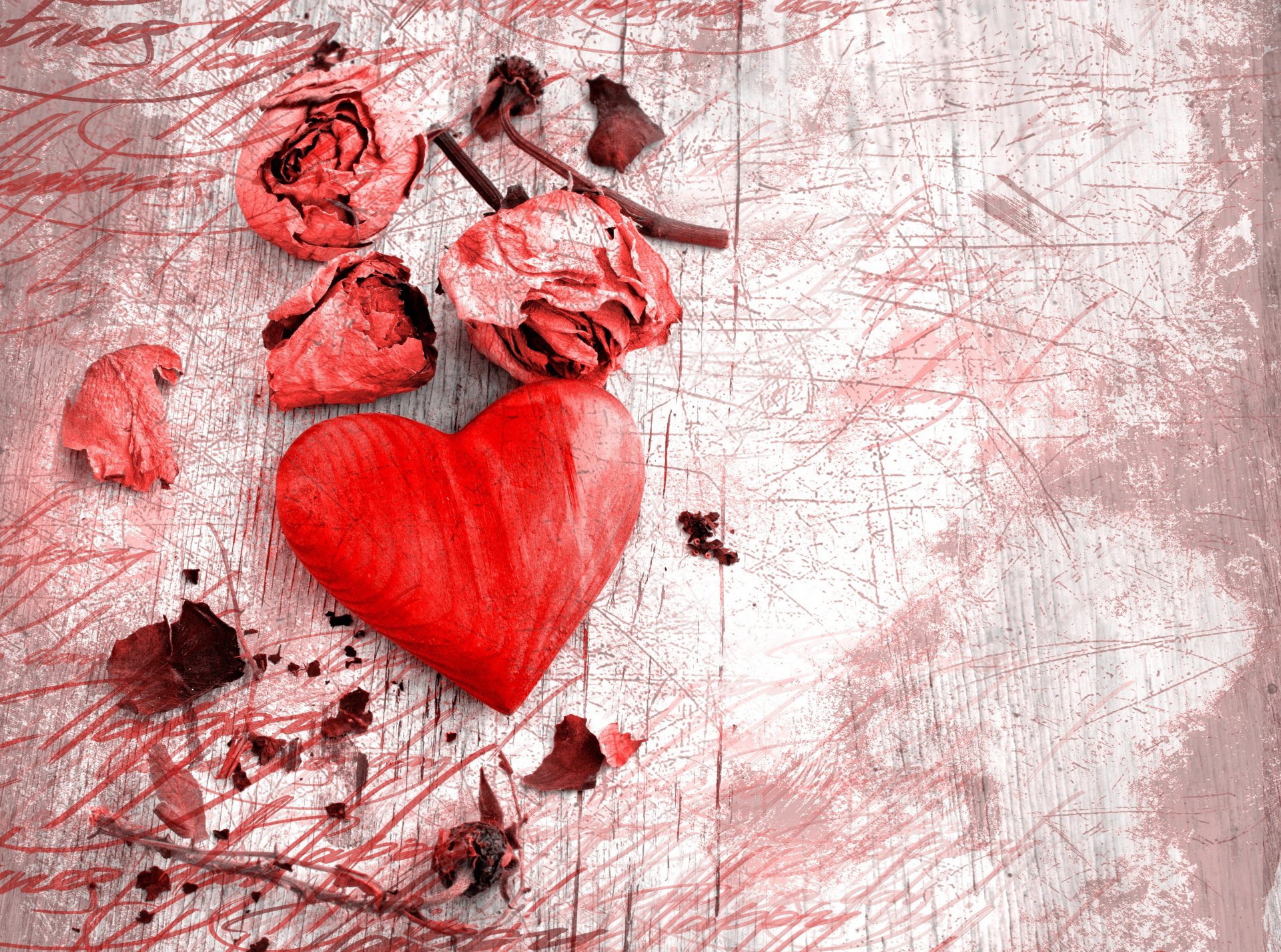 corazón rosa pétalos