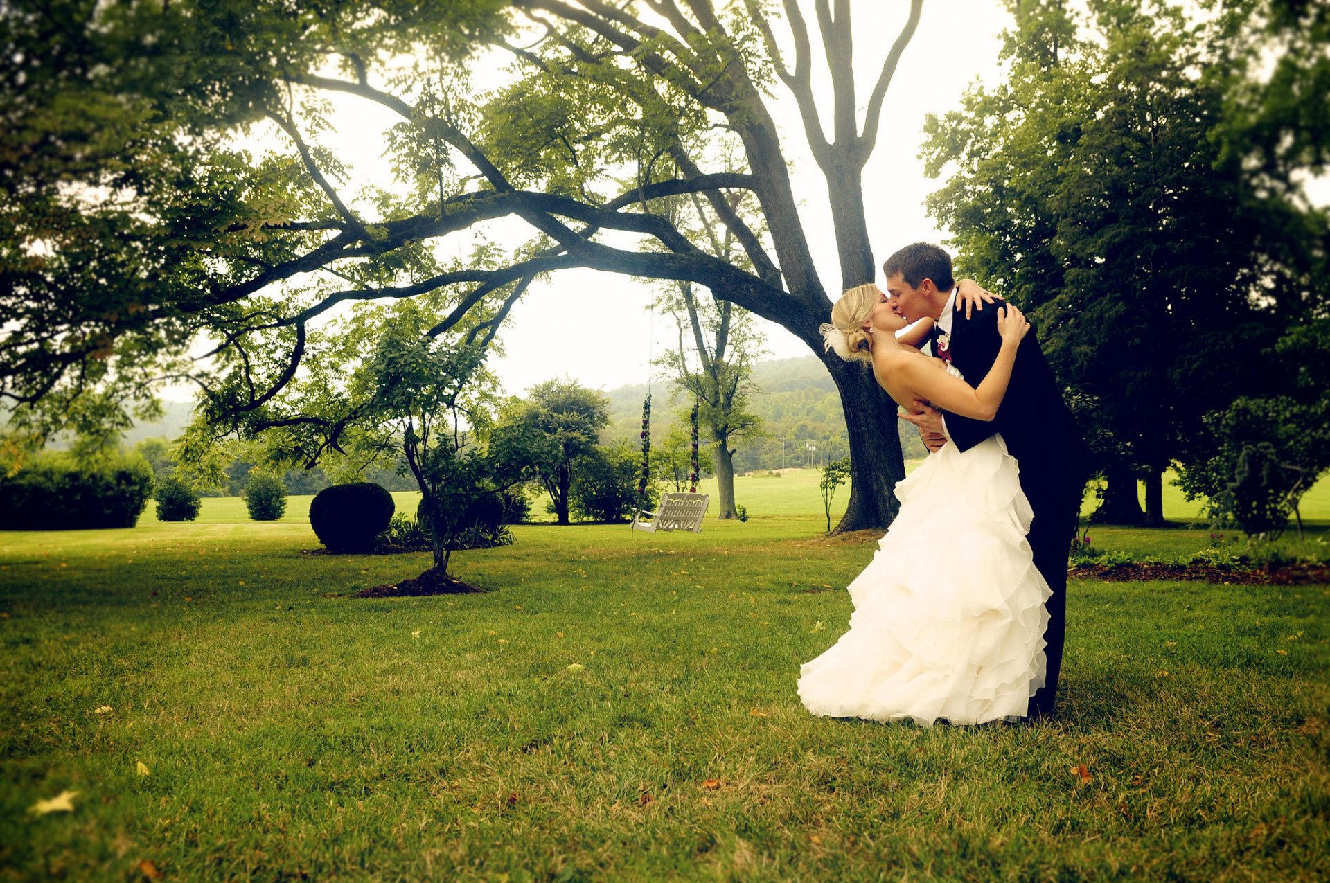 novio novia novio chica traje vestido blanco beso hierba verde árbol