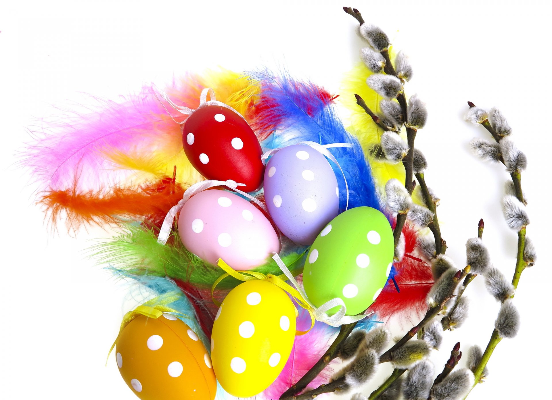 pasqua uova variopinte salici della verga salice