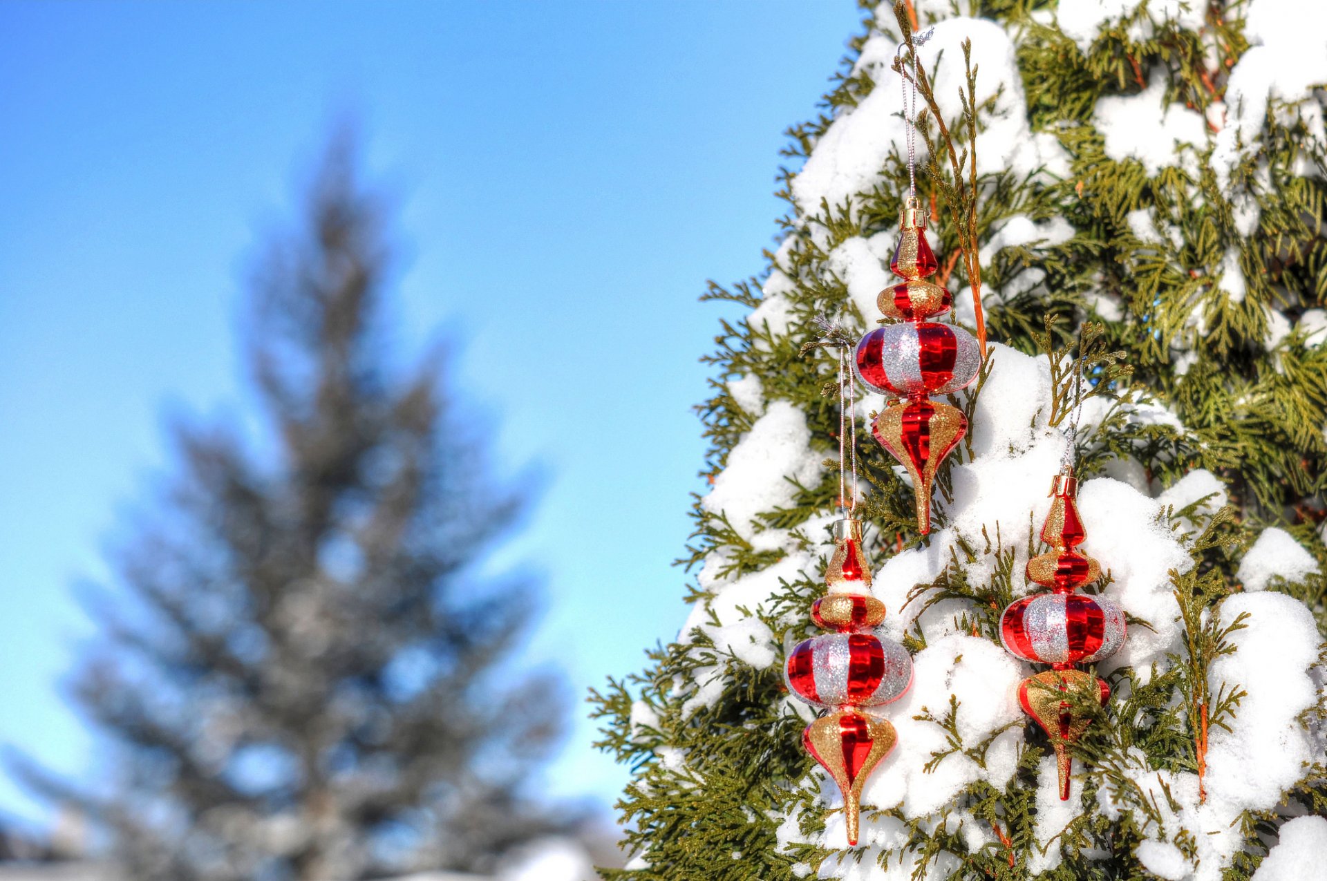 himmel winter schnee baum dekoration spielzeug neujahr weihnachten