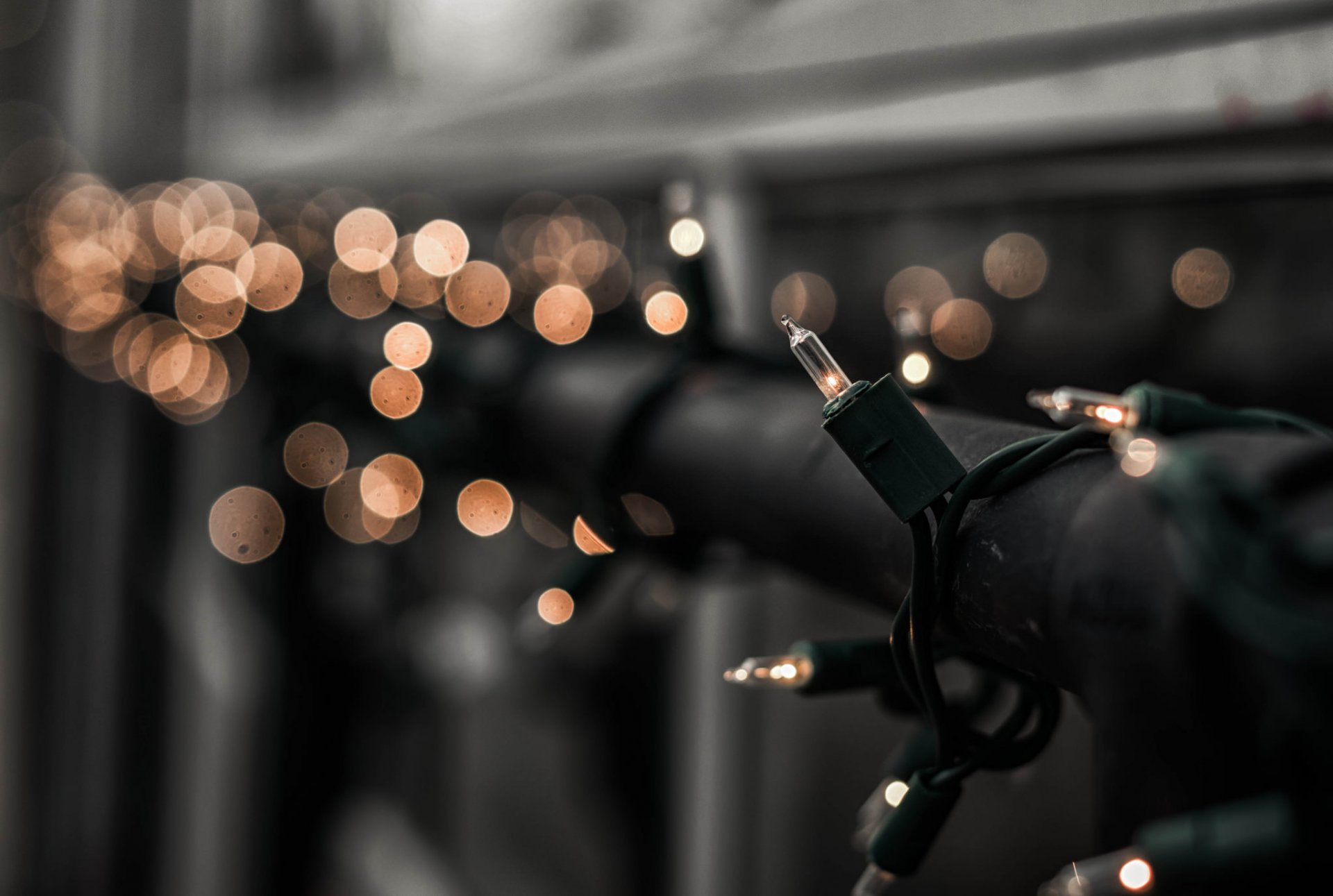 garland street holiday