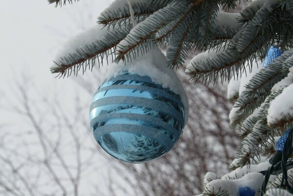 The blue ball is hanging on the Christmas tree