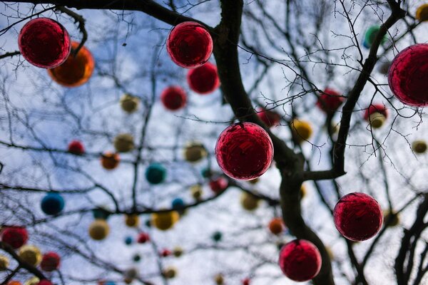 A tree in the garden is hung with Christmas balls