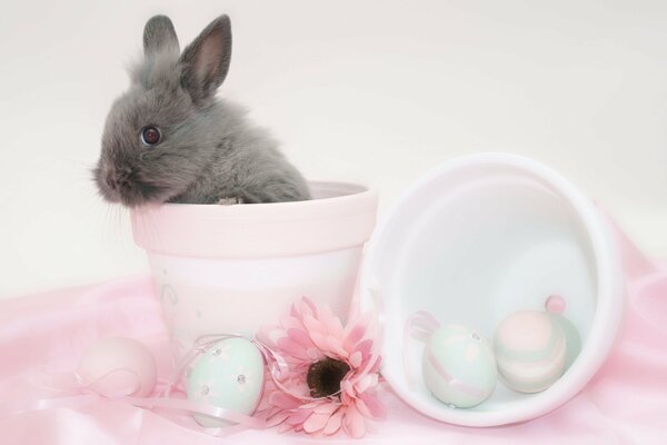 Osterhase in einem Blumentopf