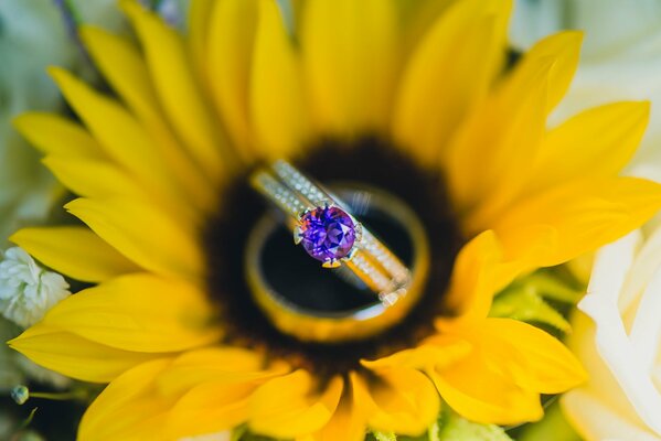 A beautiful marriage proposal