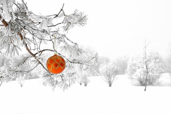 Christmas decoration on a snow-covered fir tree