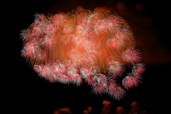 Colorful fireworks on a black background
