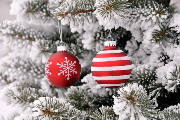 Palle di Natale rosse su un ramo di abete innevato