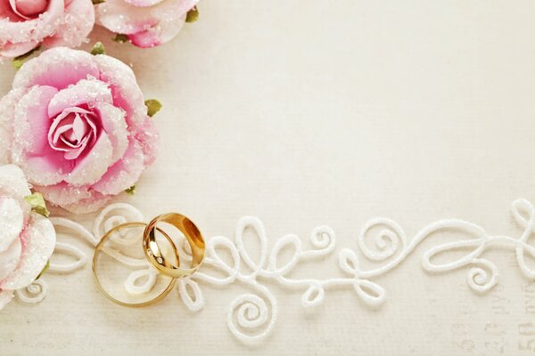 Anelli di nozze su sfondo bianco con rose rosa