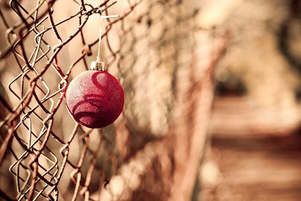 Juguete del árbol de Navidad en memoria de la Navidad
