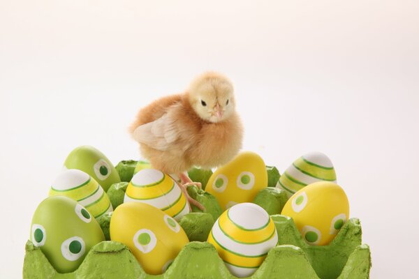 Ostern ist das perfekte Familienfest
