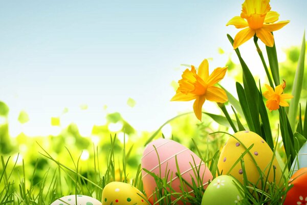 Uova di Pasqua nel soleggiato clima primaverile