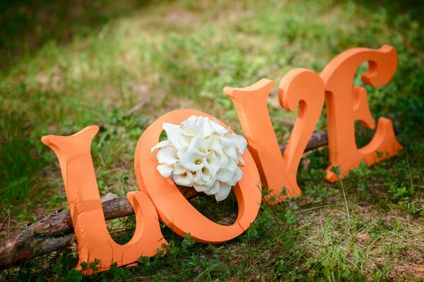 Lettres orange sur l herbe verte