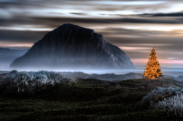 Weihnachtsbaum auf dem Hintergrund eines düsteren Felsens