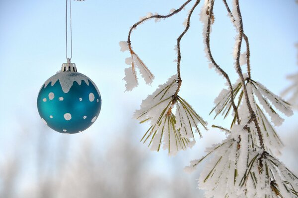 Gros plan de boule de Noël sur une branche