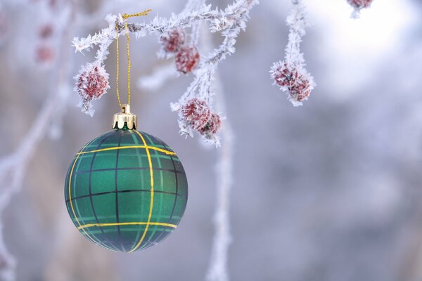 New Year s ball on a frosted branch