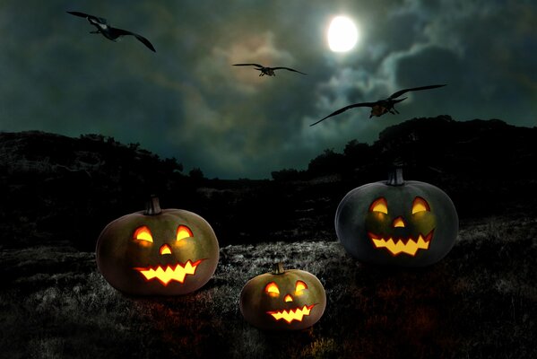 Święto Halloween z dyniami na ciemnym tle