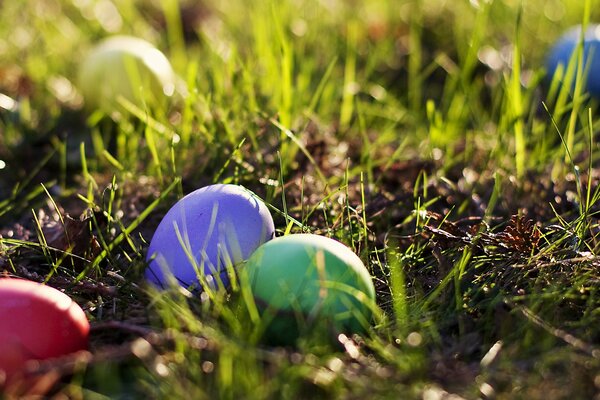 Oeufs de Pâques peints sur l herbe