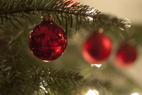 Christmas tree toys on the Christmas tree