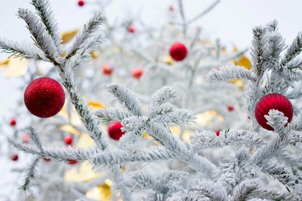 Red Christmas balls on a snow-white Christmas tree