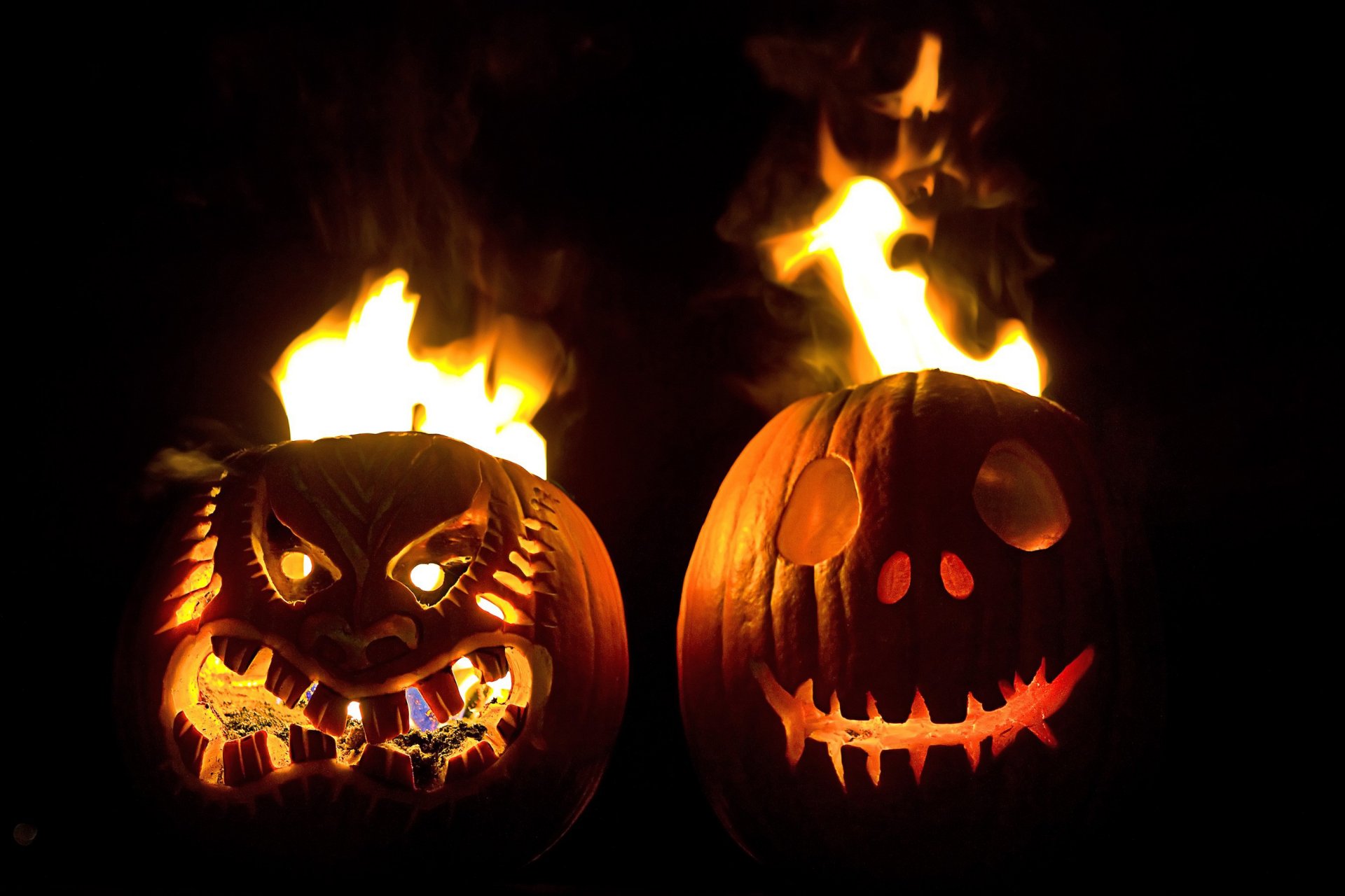 halloween. halloween pumpkin of the head face facial expressions night horror fear fire languages flame