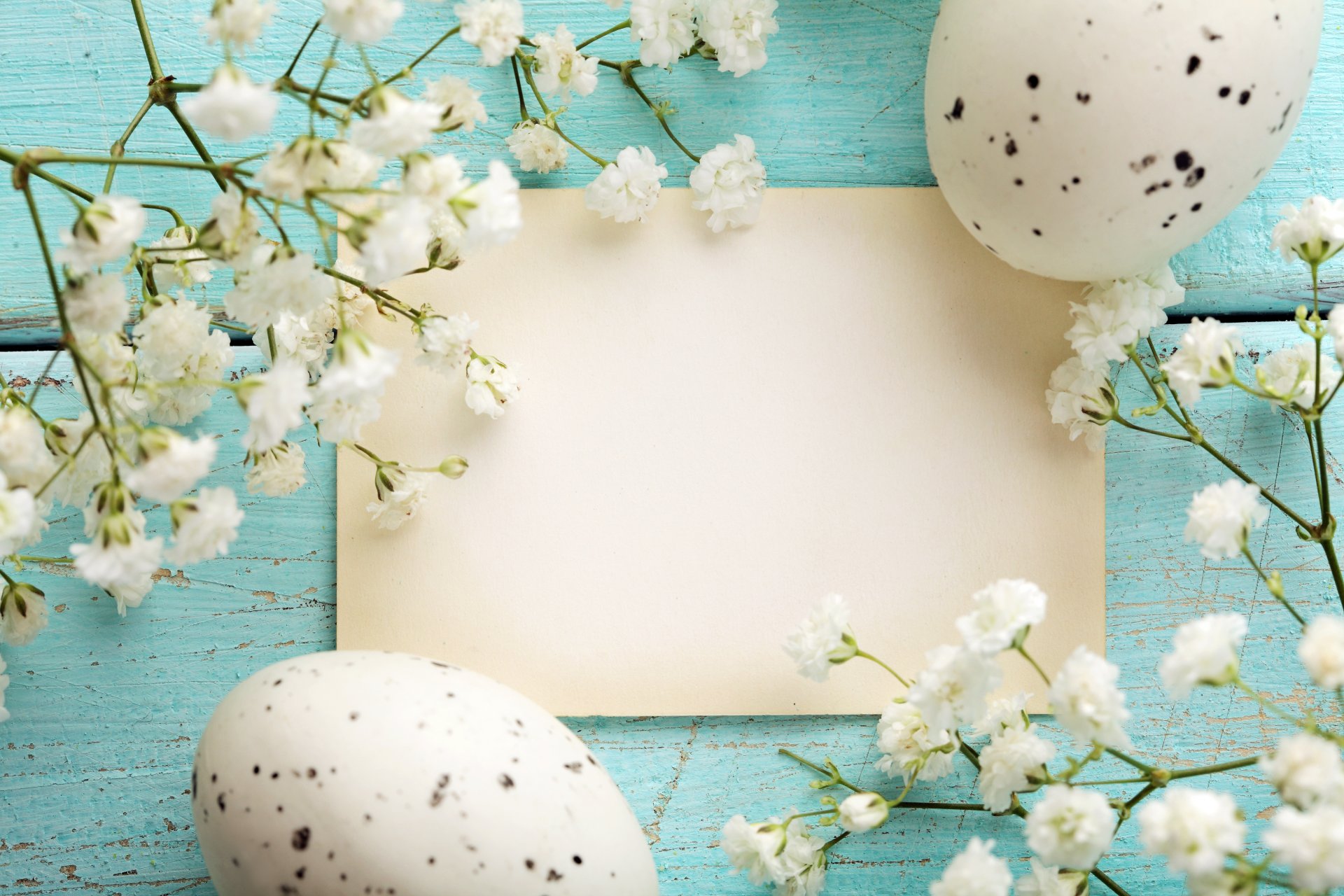 feiertag ostern nest hoden blumen postkarte