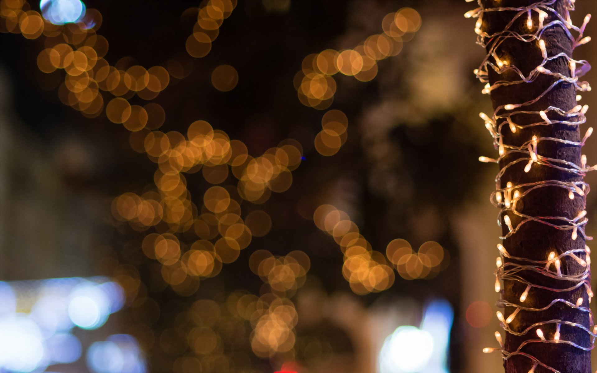 brownish lights christmas bokeh