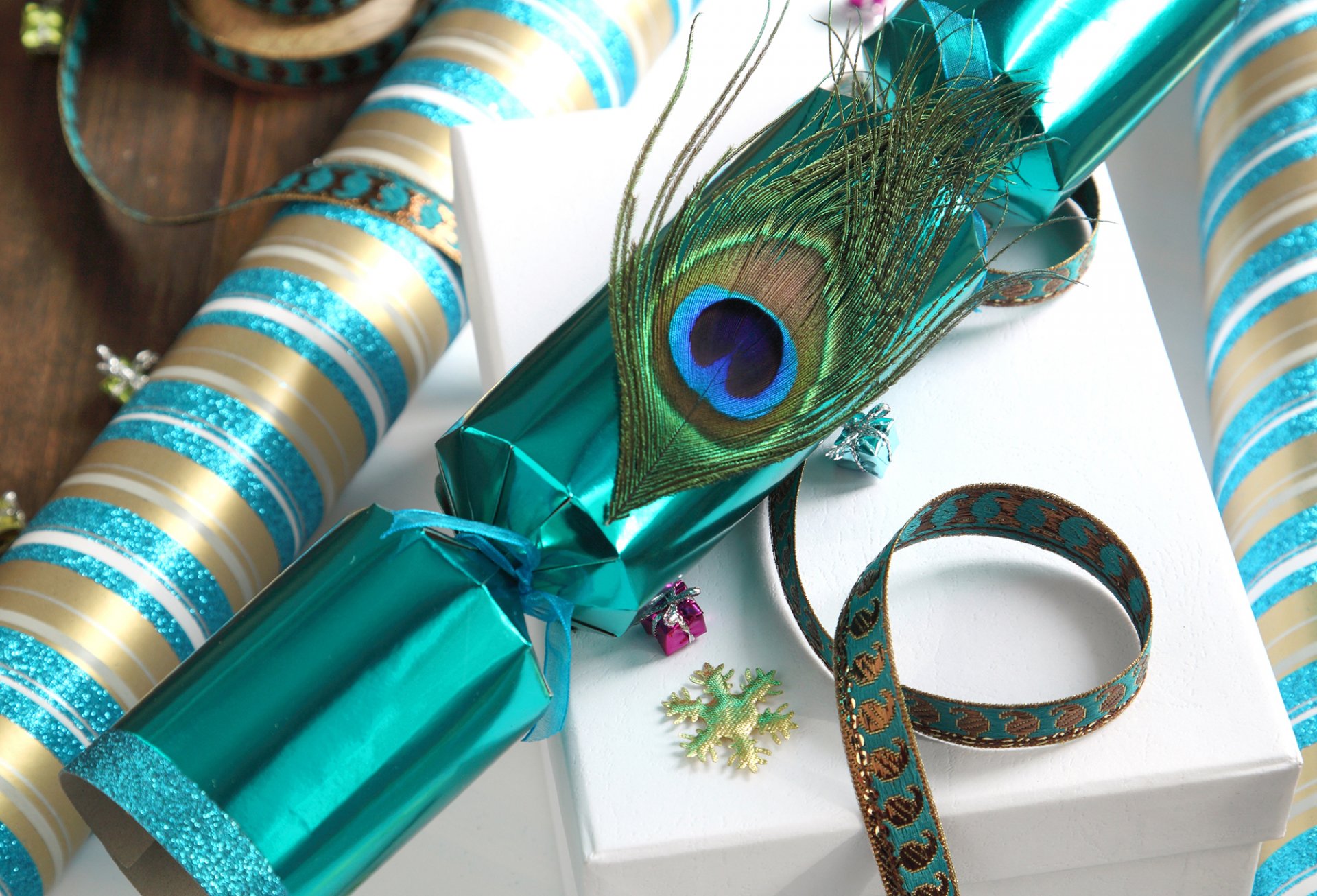 holidays gifts box tapes ribbon feather peacock winter christmas new year