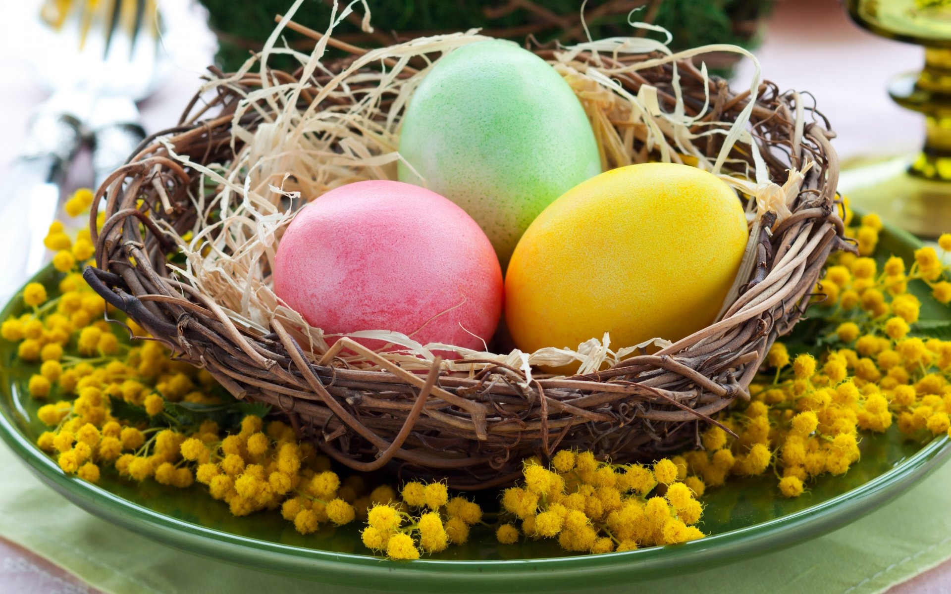 easter holiday flowers bright yellow mimosa eggs nest flower