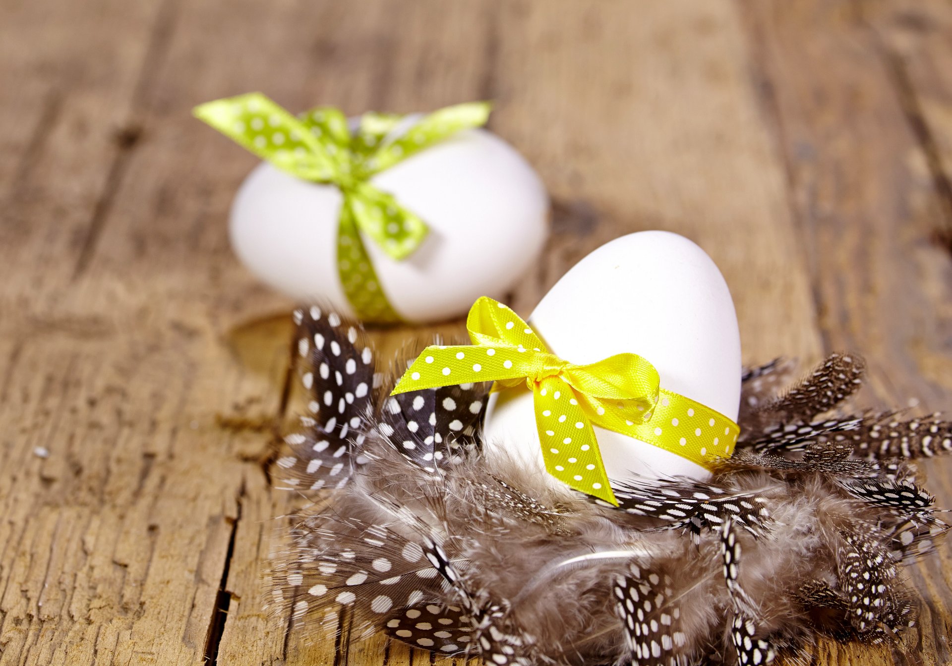 ostern frühling dekoration feder bogen baum eier frühling weide ostern federn