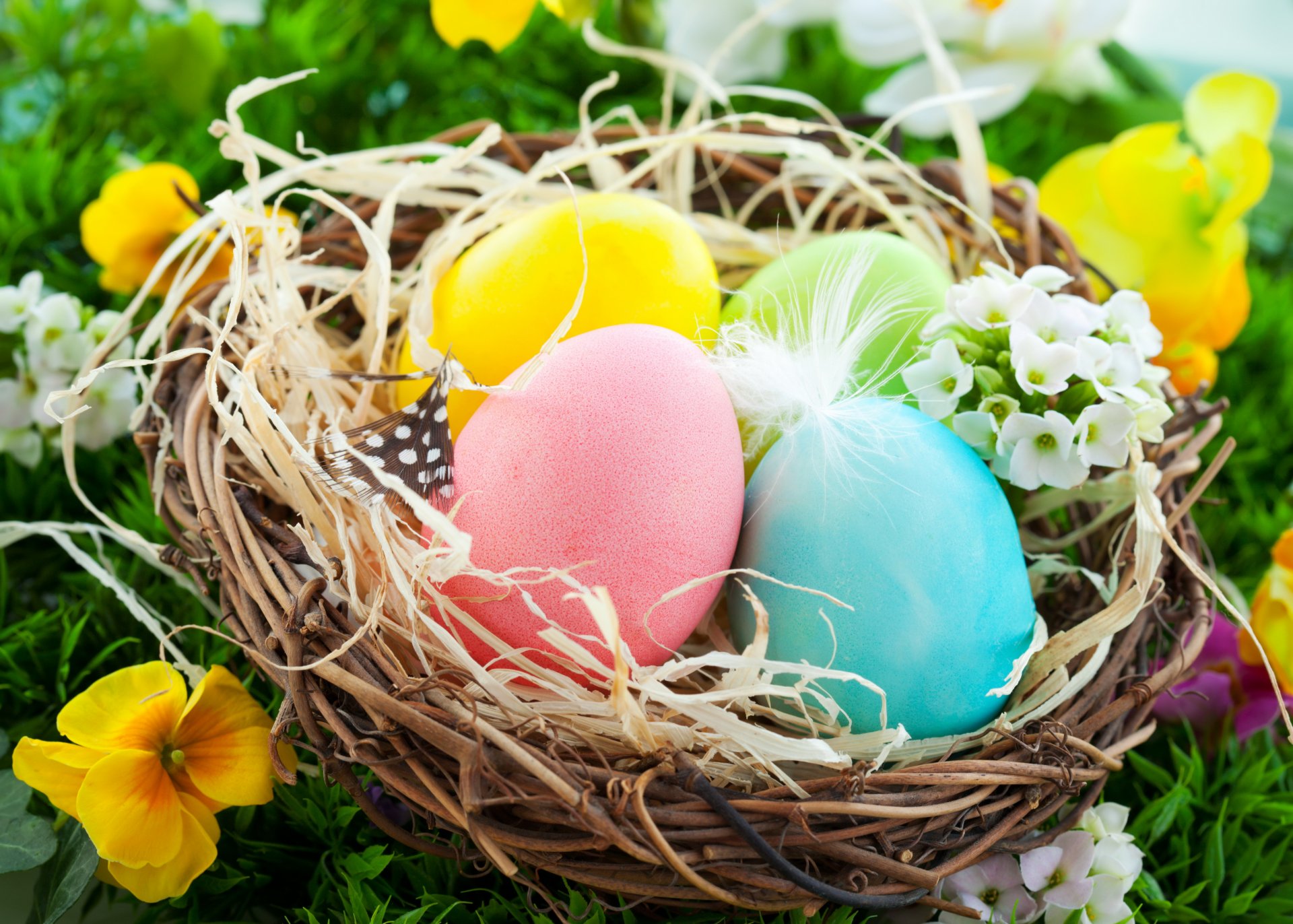 easter basket nest flowers spring egg