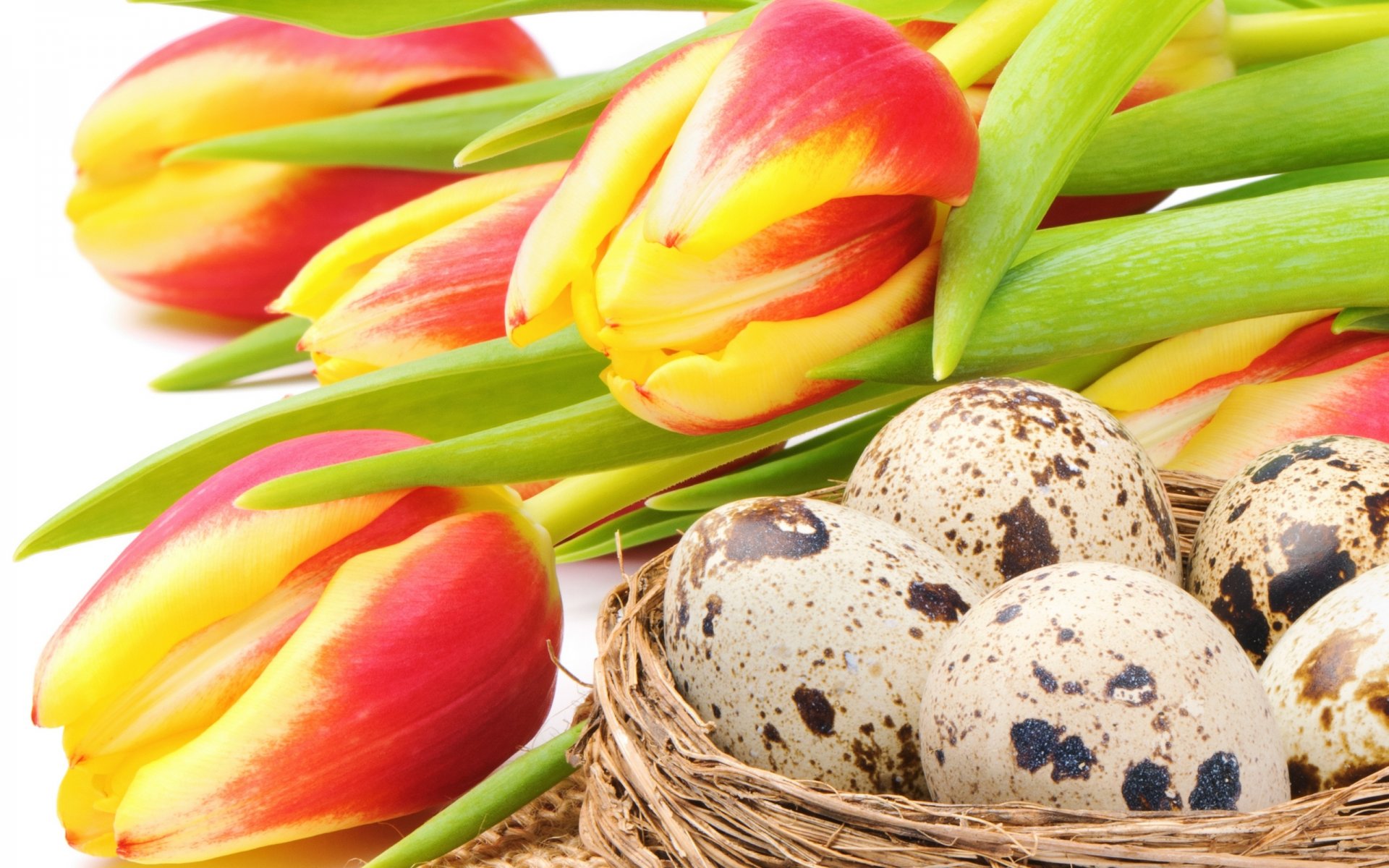 ostern urlaub blumenstrauß blumen tulpen rot gelb eier nest urlaub rot-gelb